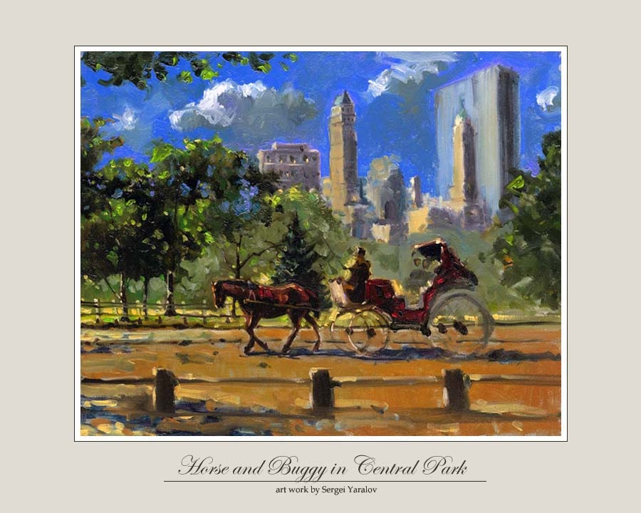 Horse and Buggy in Central Park