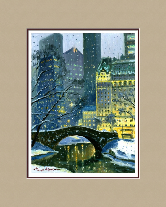 Winter Night in Central Park