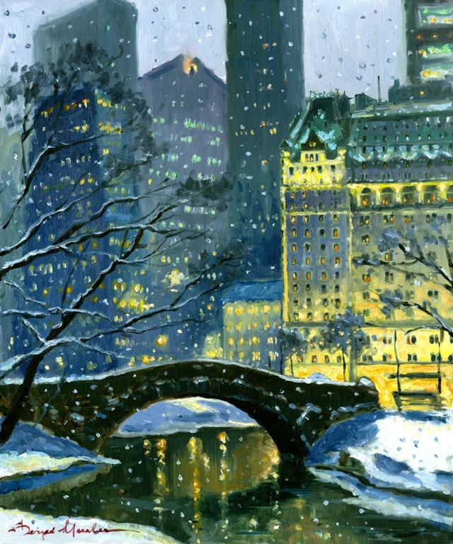 Winter Night in Central Park